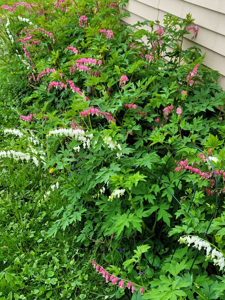 20220517_133534.jpg