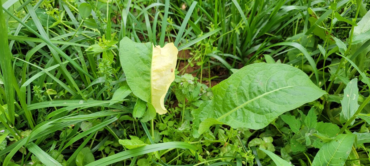 20220523_094932.jpg