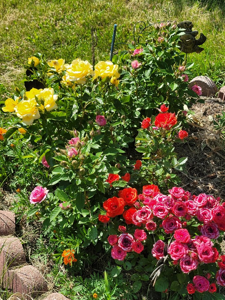 20220620_162908.jpg
