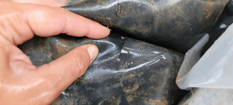 20220620_193242.gif