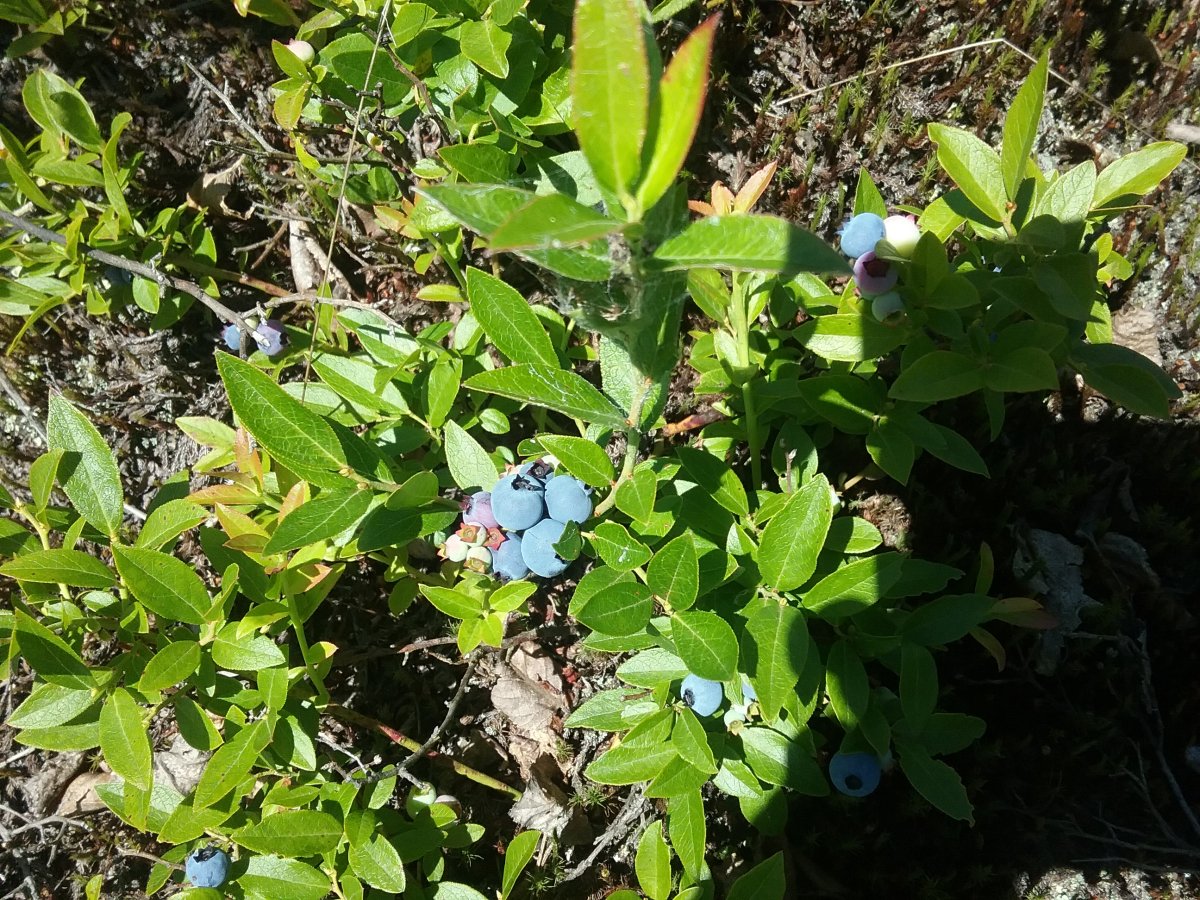 20220702_115026.jpg