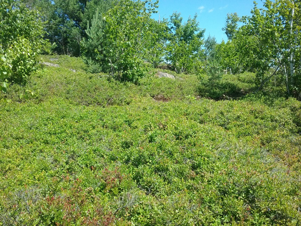 20220702_115544.jpg