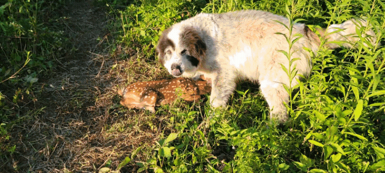 20220702_201339.gif