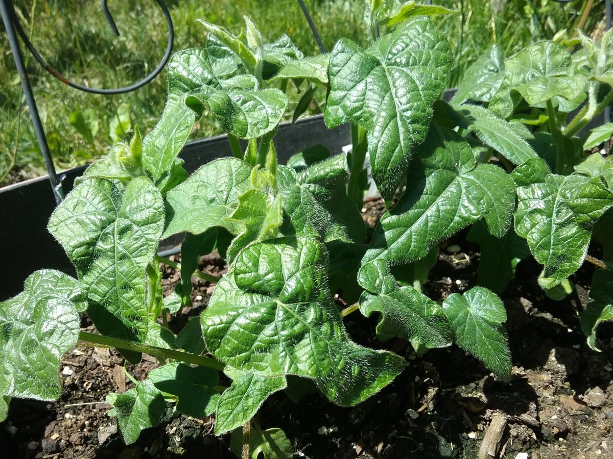 20220708_125818.jpg