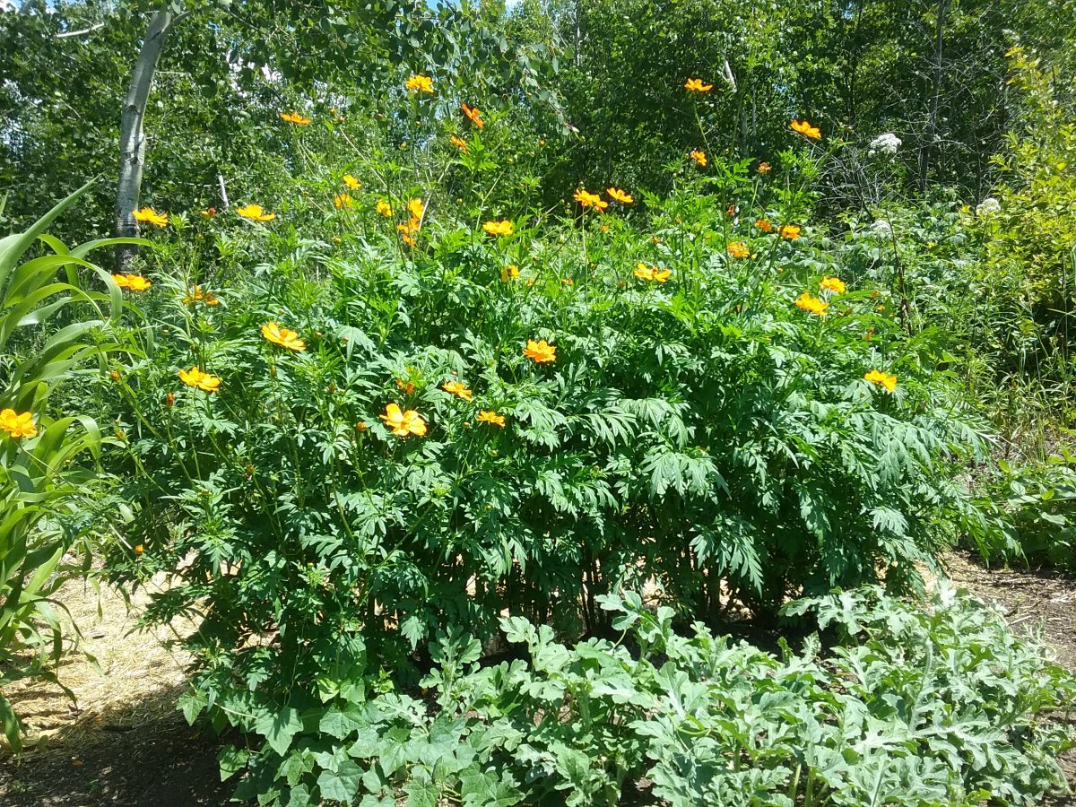 20220723_140348.jpg