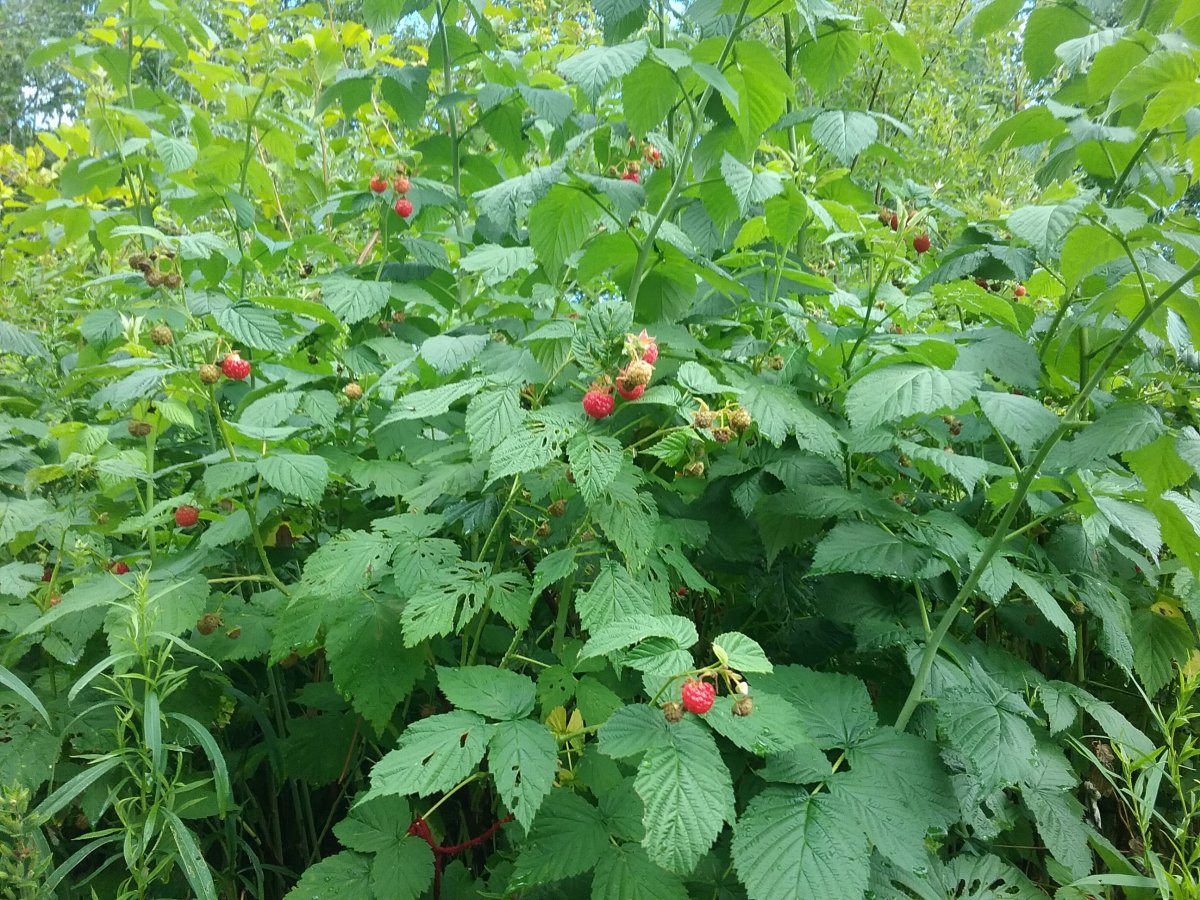 20220728_154343.jpg