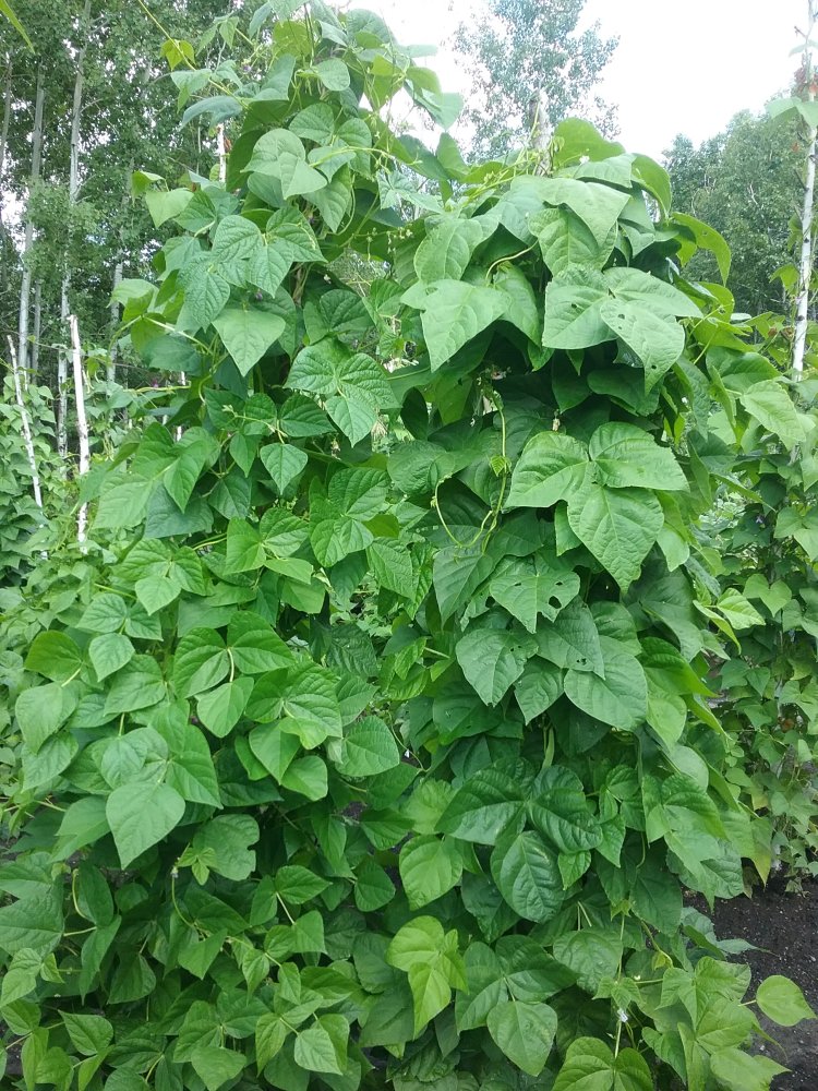 20220728_155220.jpg
