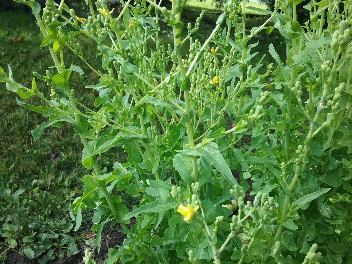 20220728_155931.jpg