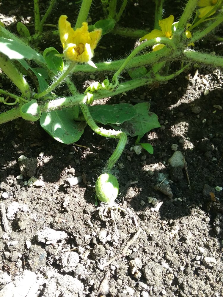 20220802_154848.jpg