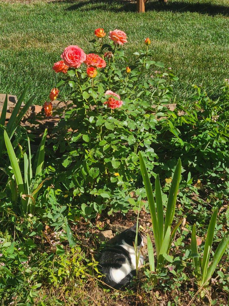 20220805_093203.jpg
