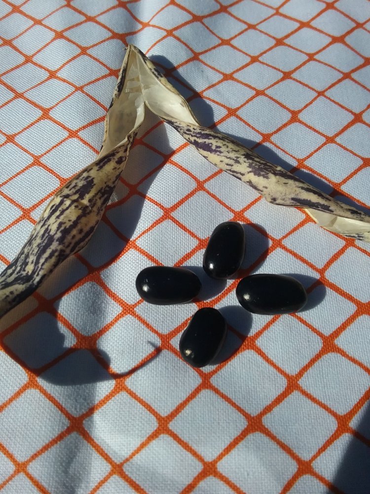 20220811_170820.jpg