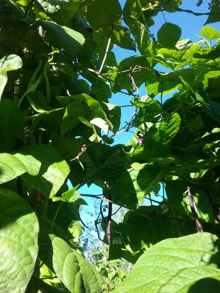 20220811_181647.jpg