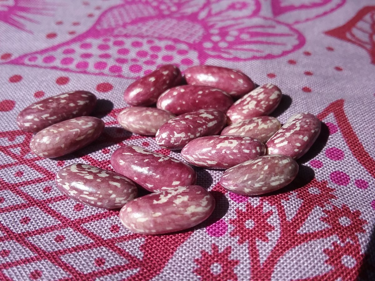 20220812_162134.jpg