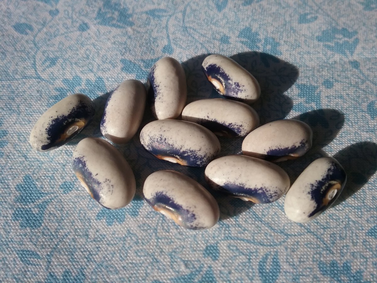 20220814_181746.jpg