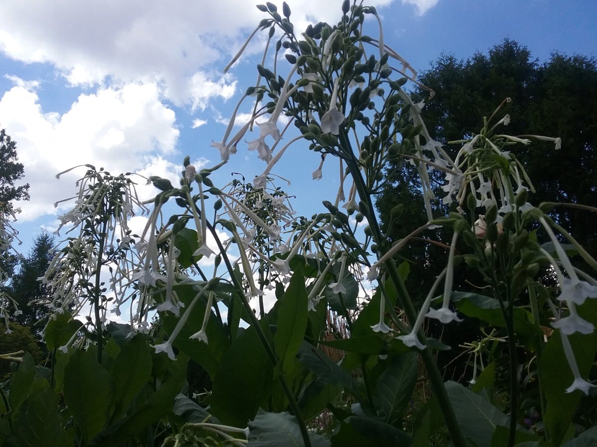 20220816_141126.jpg