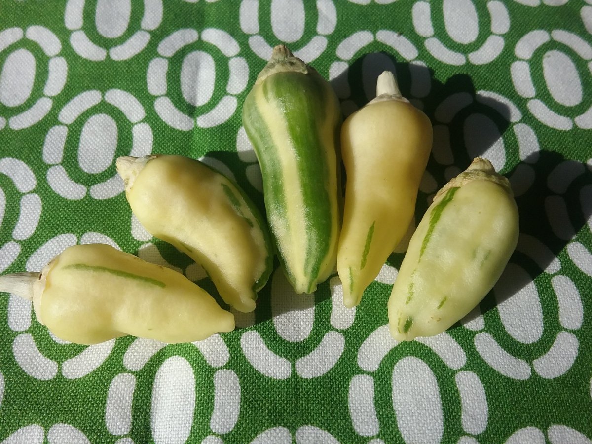 20220816_174510.jpg