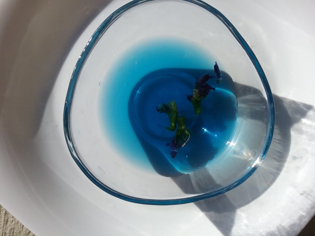 20220816_182055.jpg