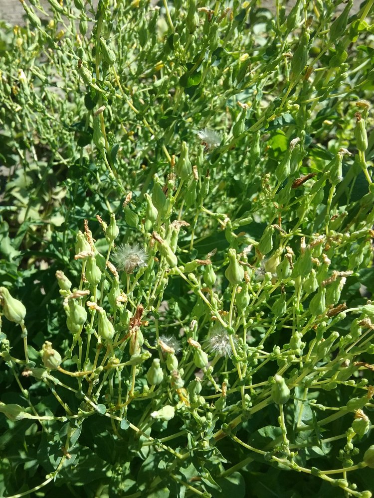 20220818_114726.jpg