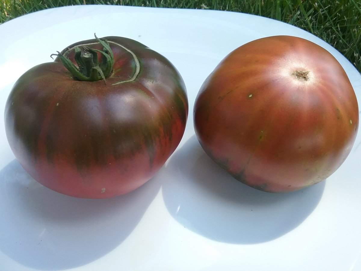 20220818_135903.jpg