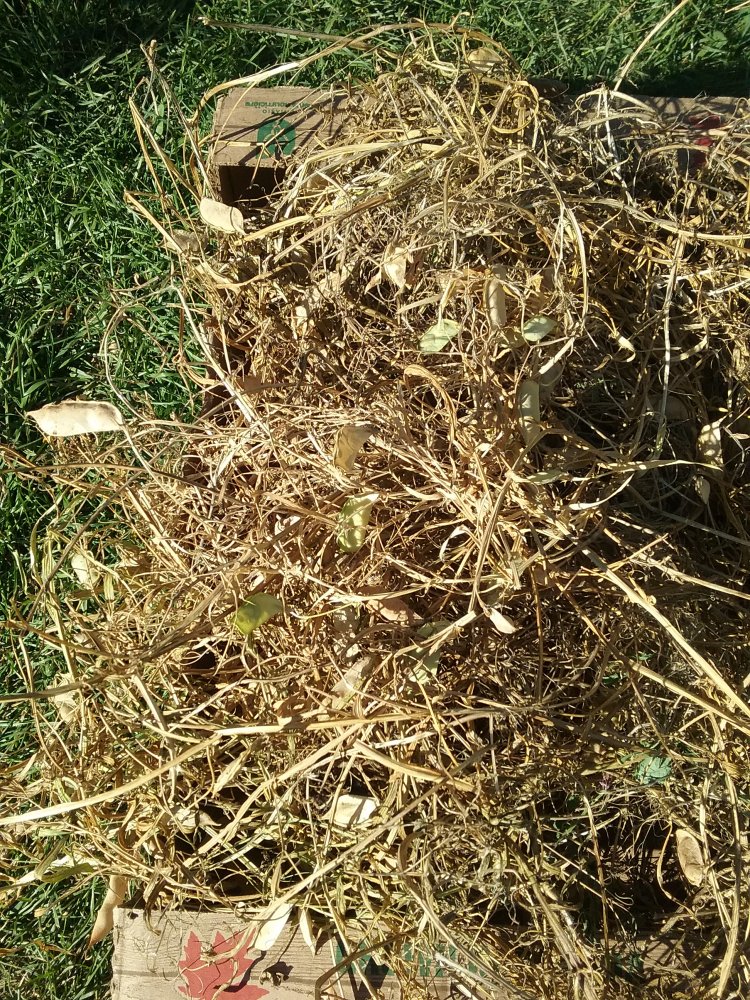 20220818_171115.jpg