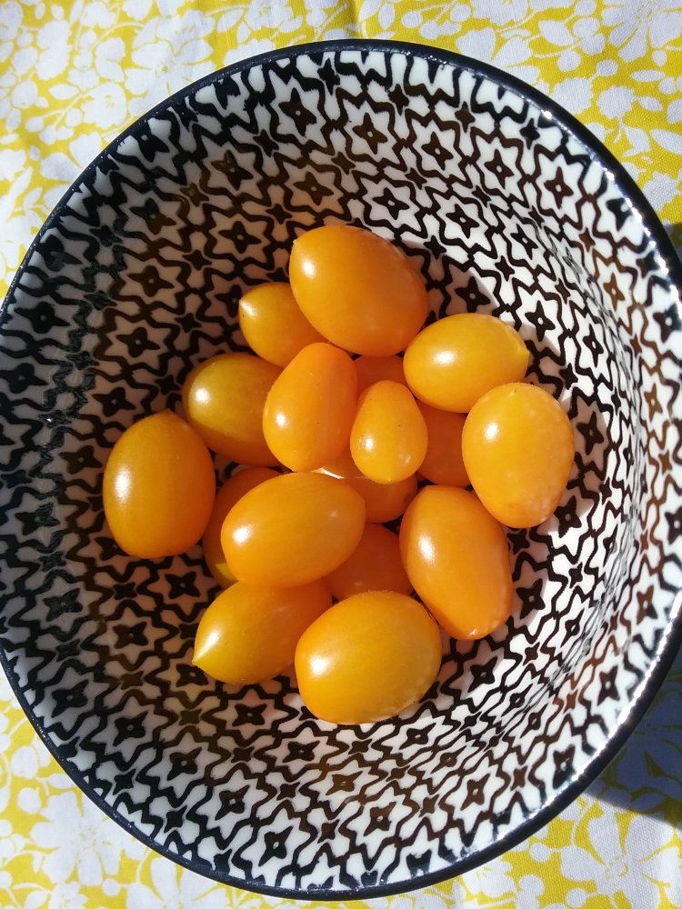 20220819_165023.jpg