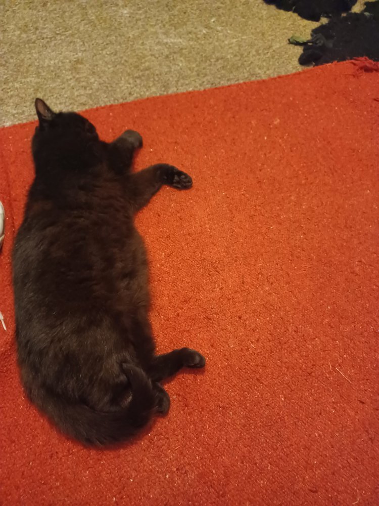 20220821_195117.jpg
