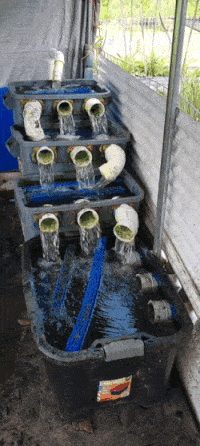 20220825_111152.gif