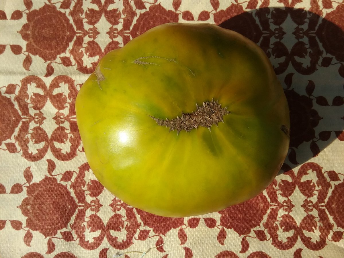 20220827_170105.jpg
