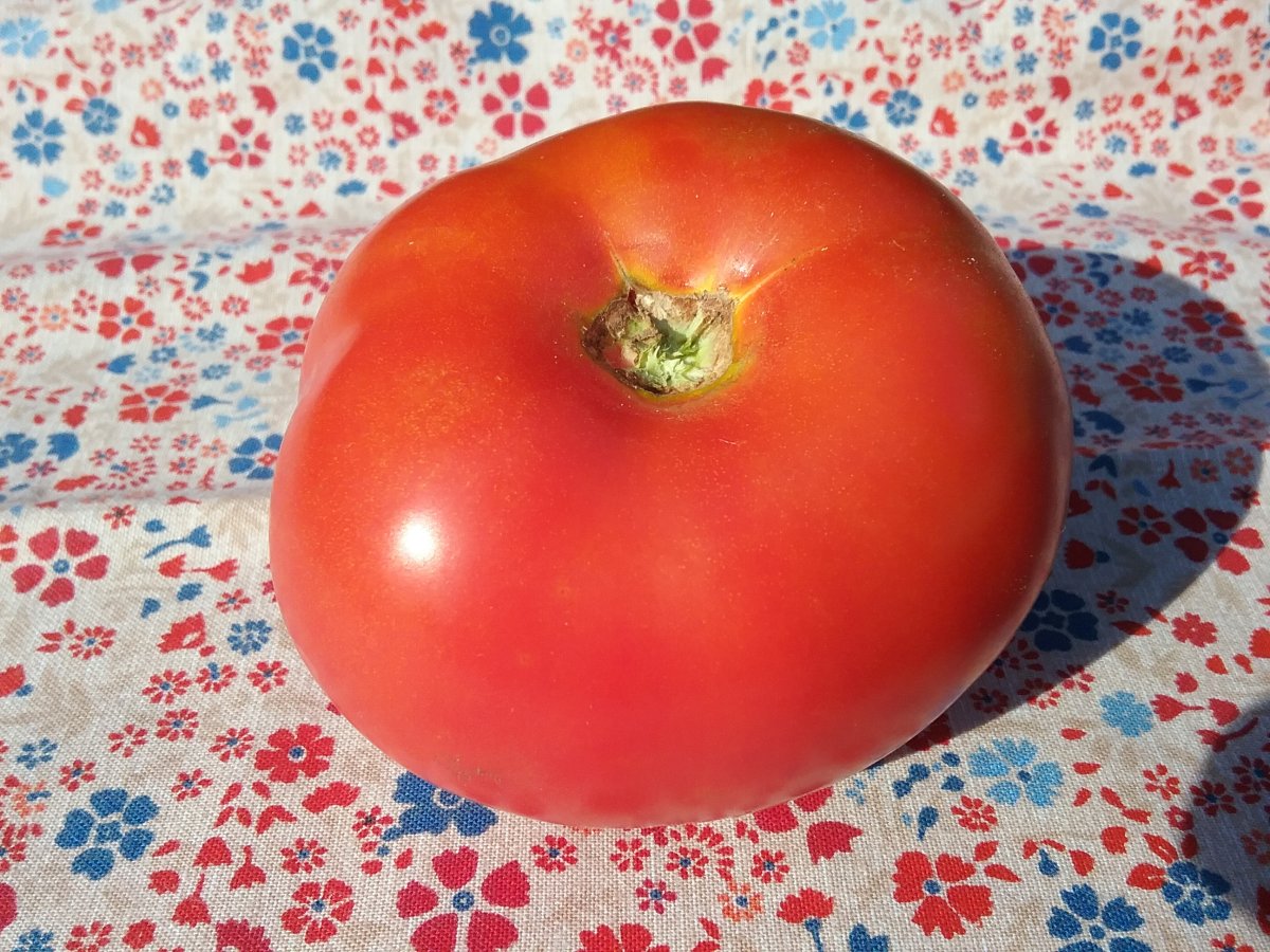 20220827_170427.jpg