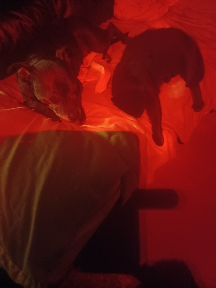 20220906_201710.jpg