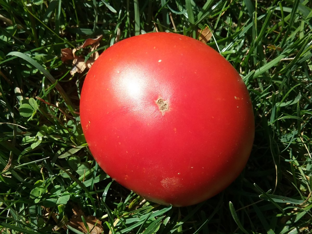 20220908_152219.jpg