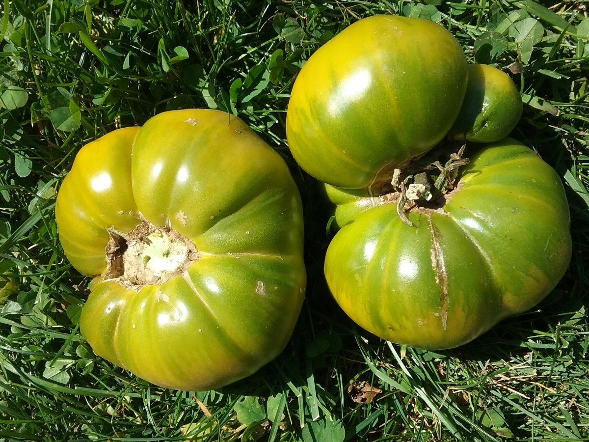 20220908_152548.jpg