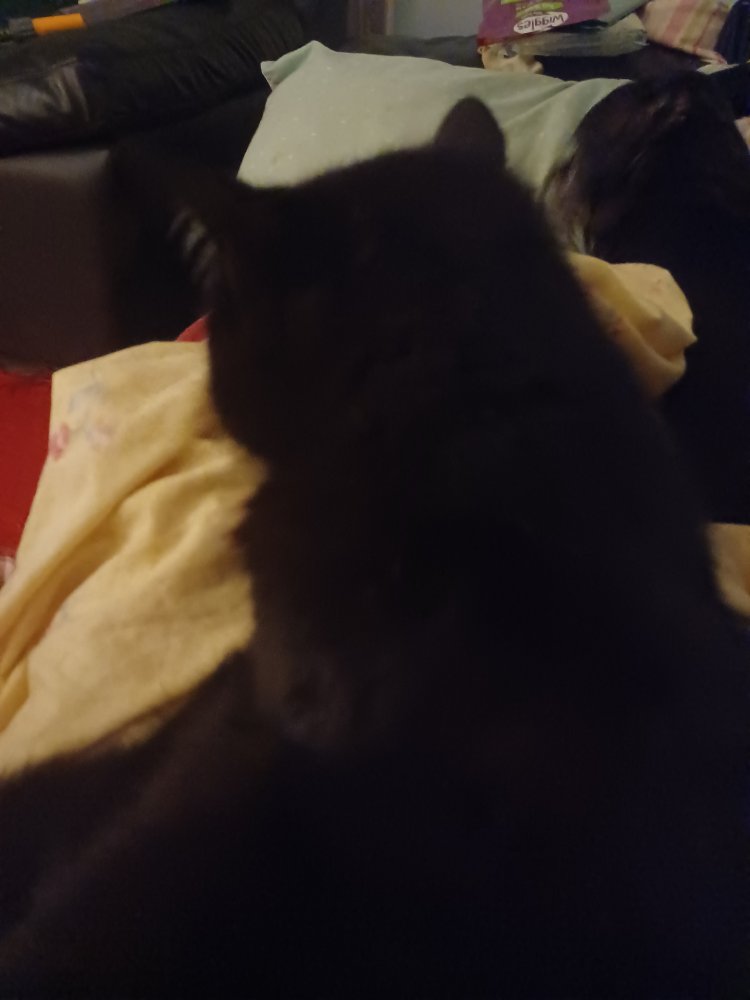 20220922_211306.jpg