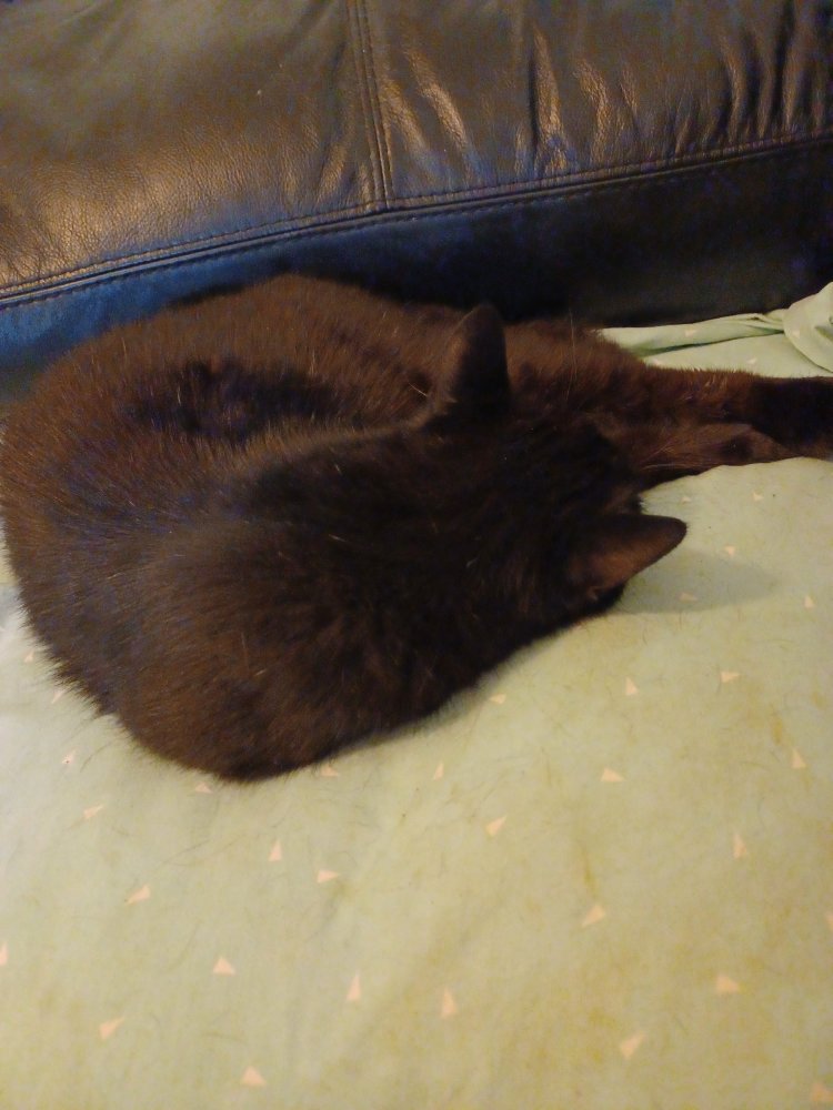 20220930_123507.jpg
