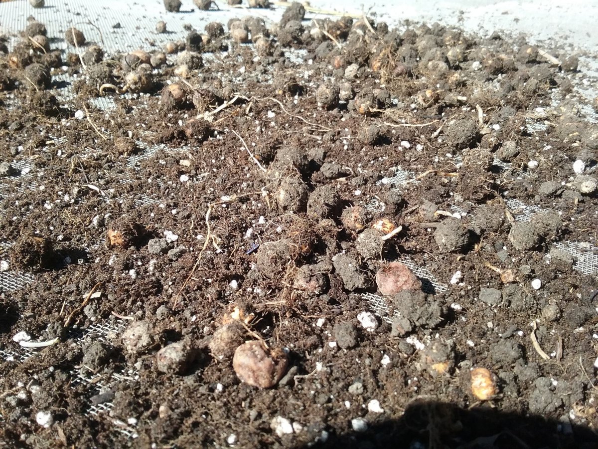 20220930_130538.jpg