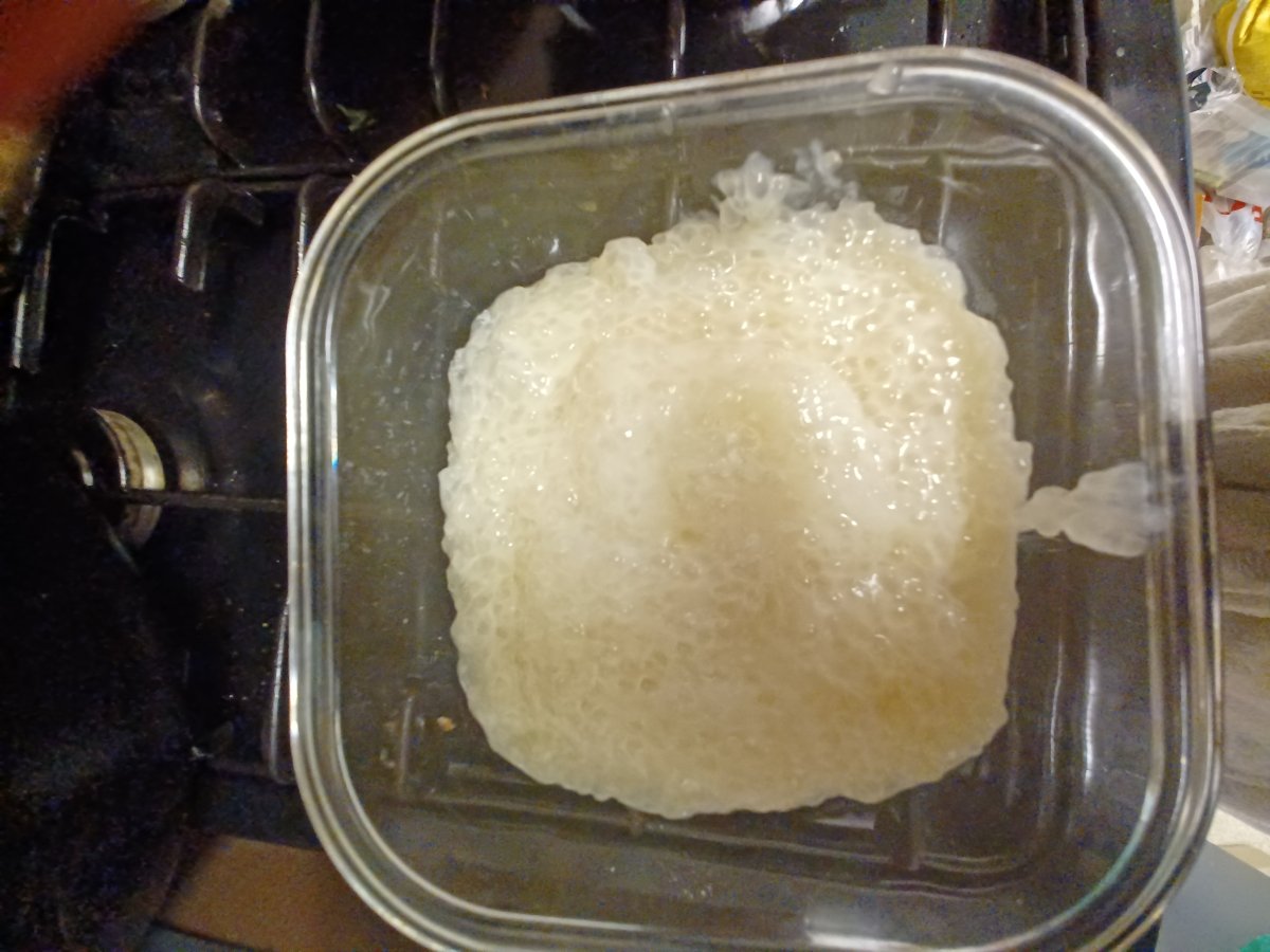 20221105_140730.jpg