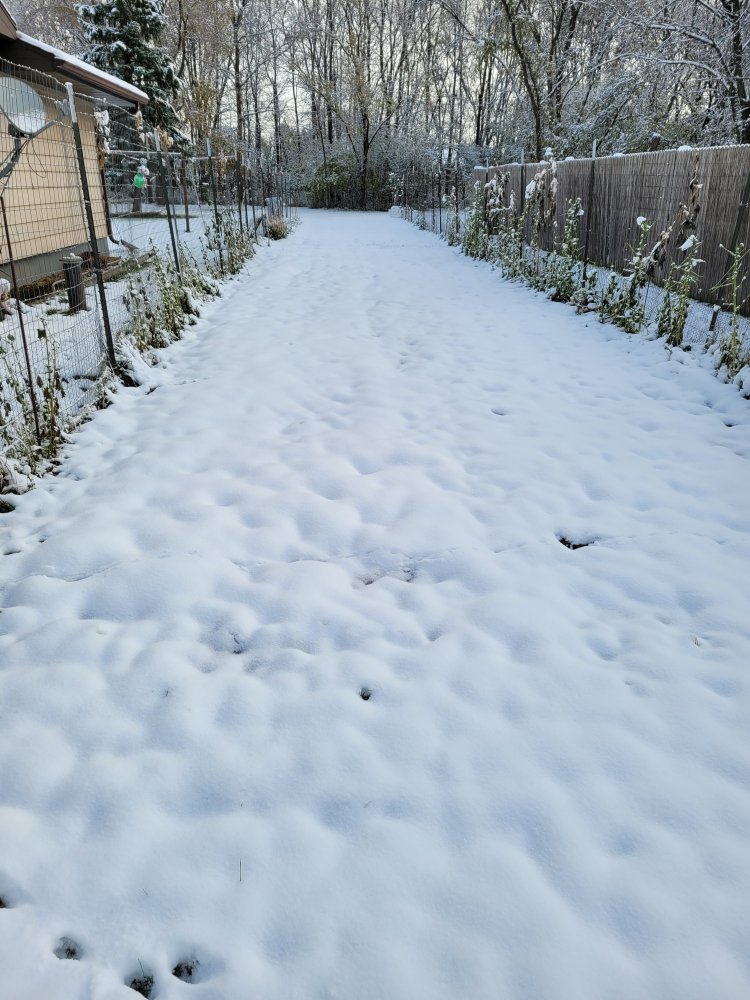 20221116_091541.jpg