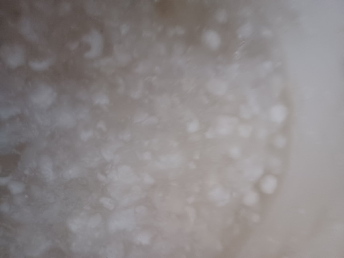 20221117_141321.jpg
