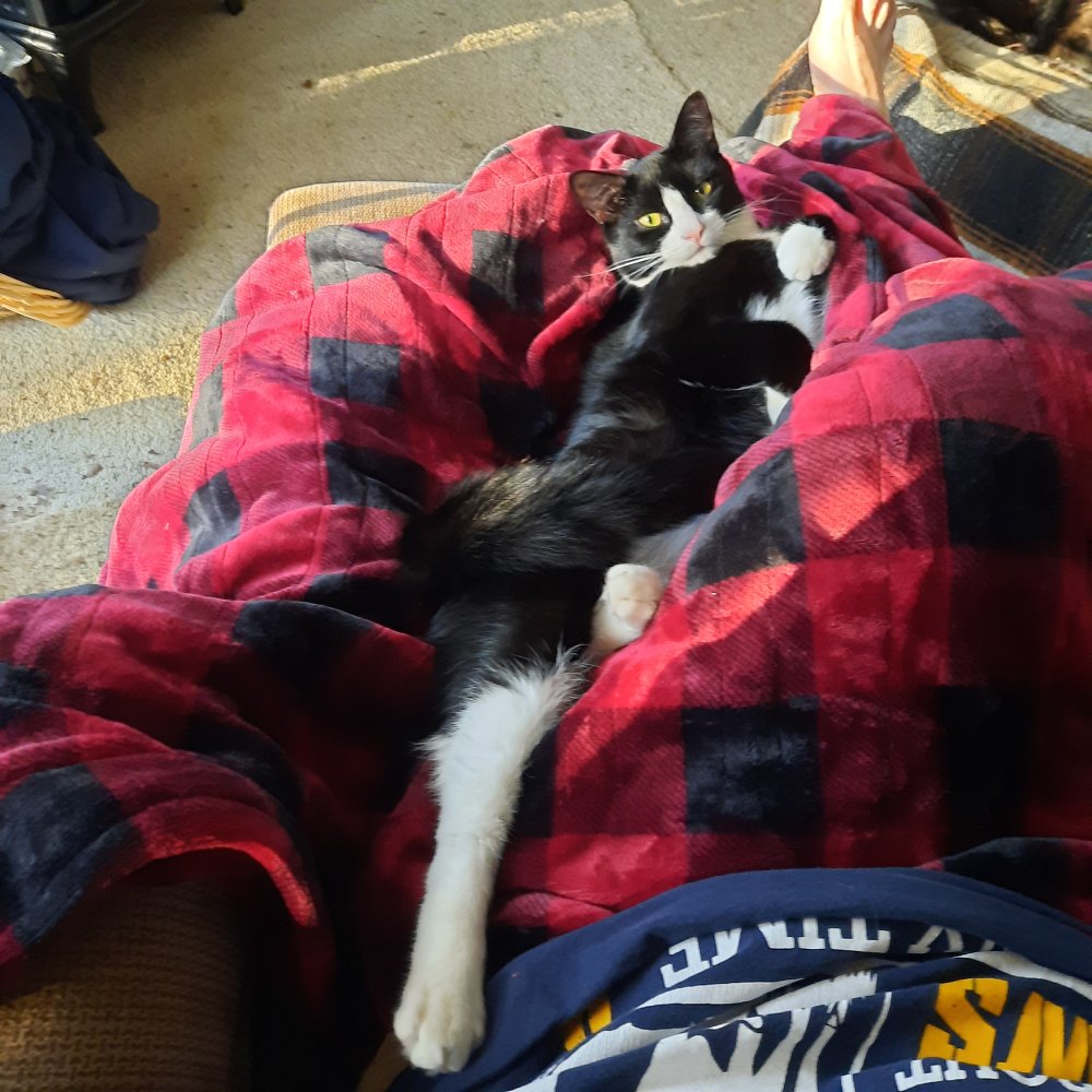 20230101_153833.jpg