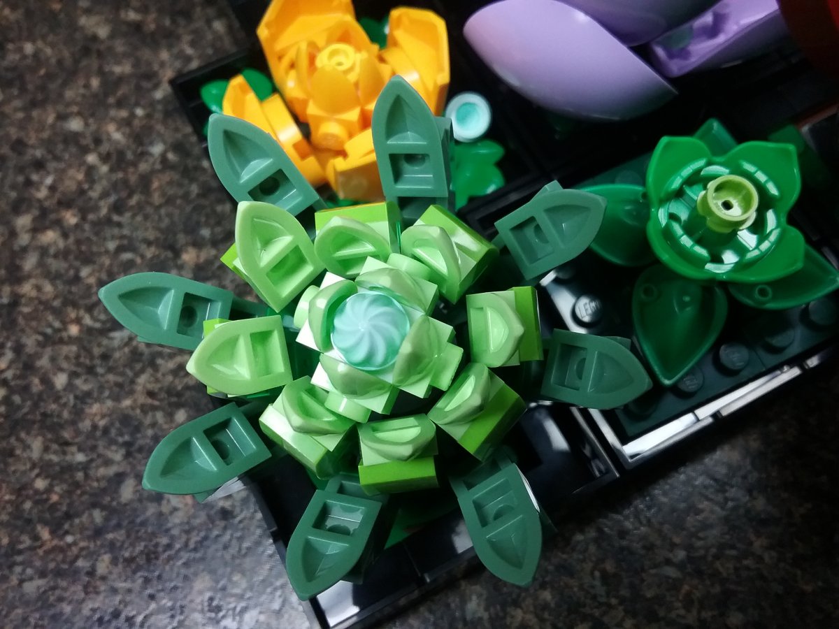 20230122_145206.jpg
