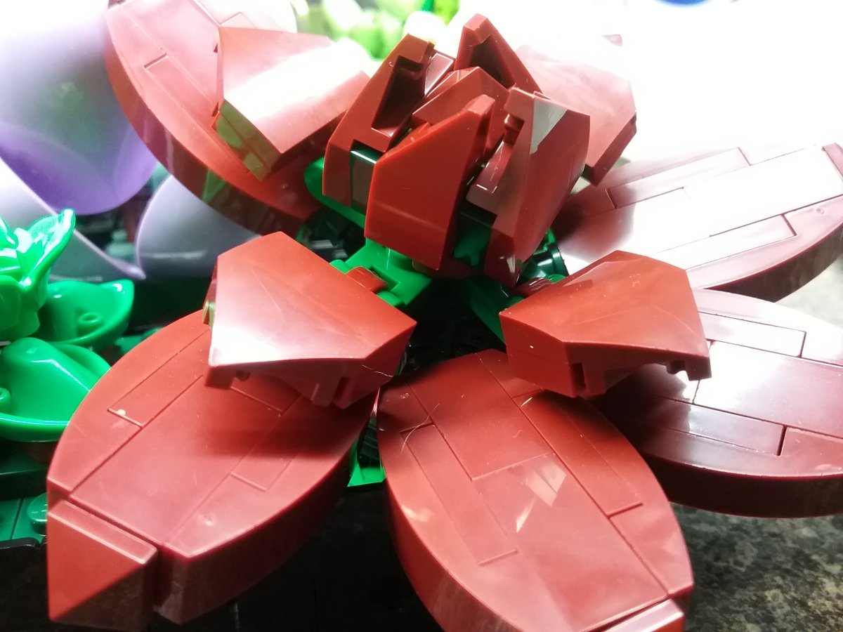20230122_145212.jpg