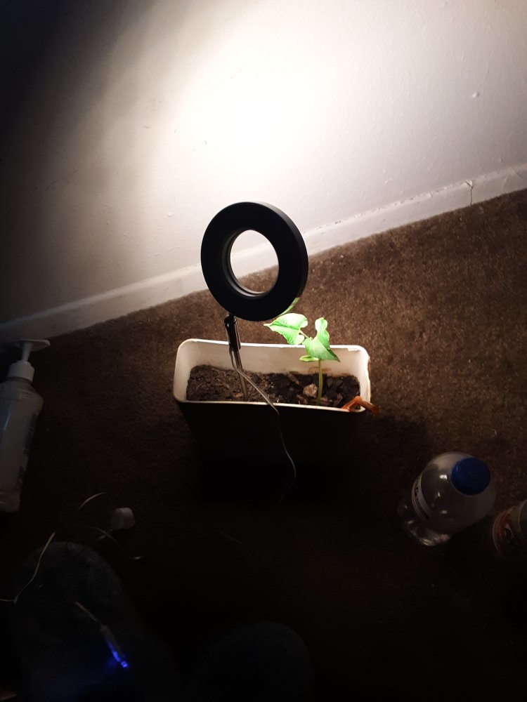 20230129_125655.jpg