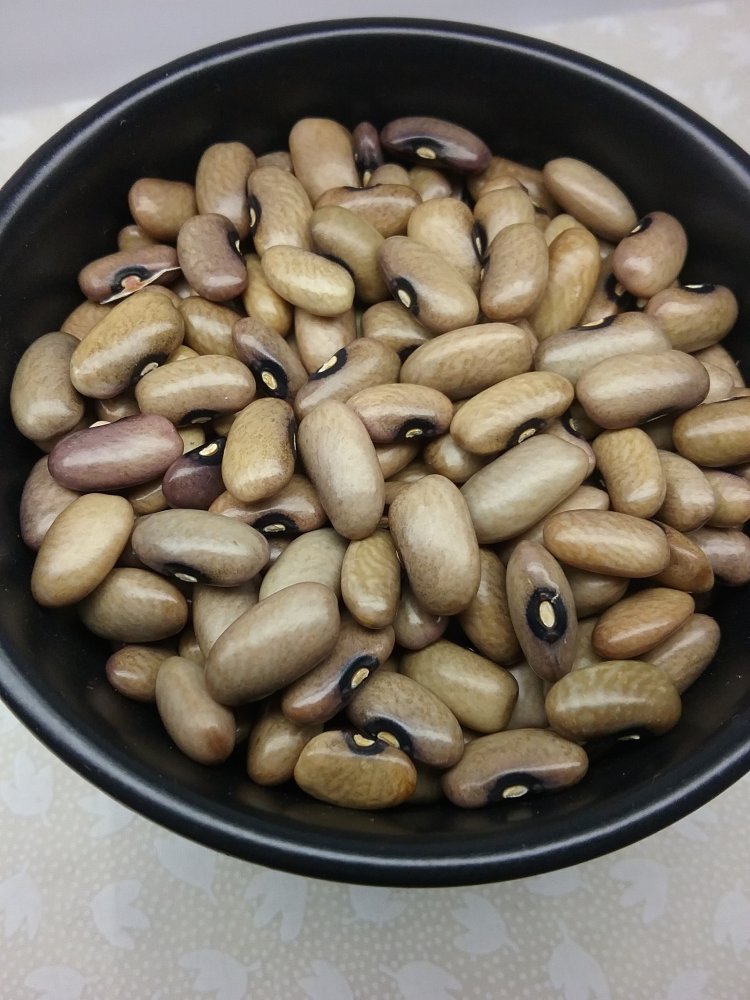 20230324_204742.jpg