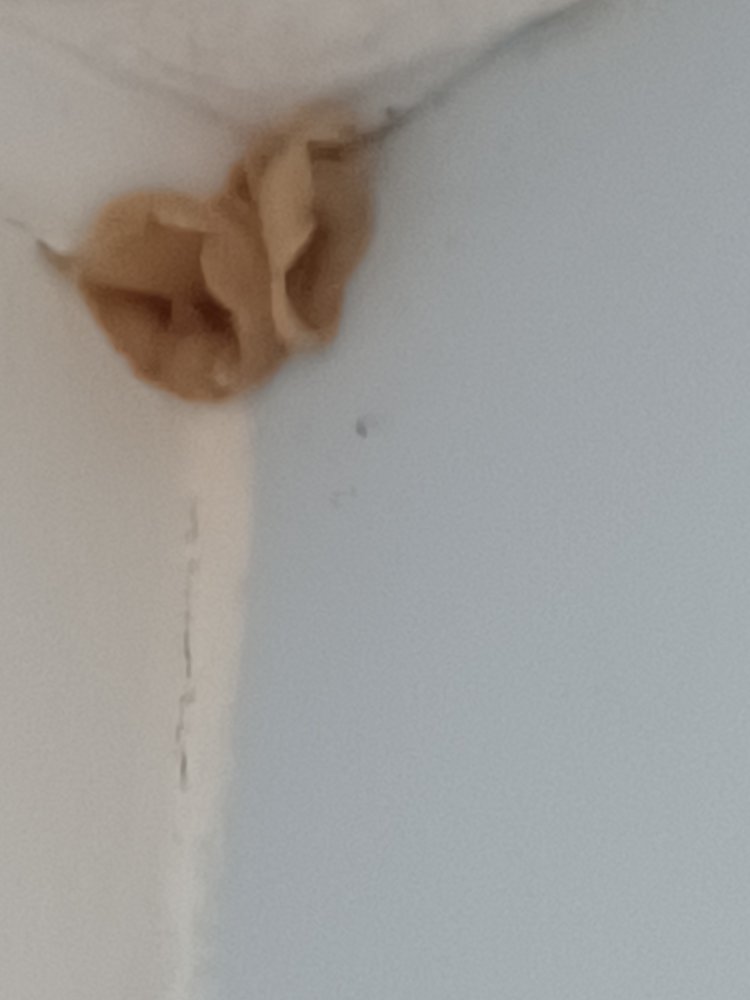 20230413_102319.jpg