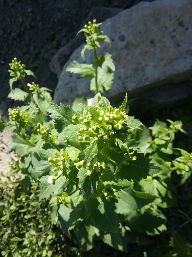20230516_164837.jpg
