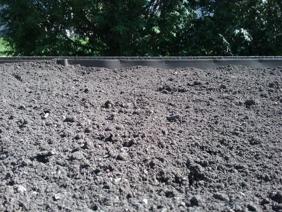 20230516_165000.jpg