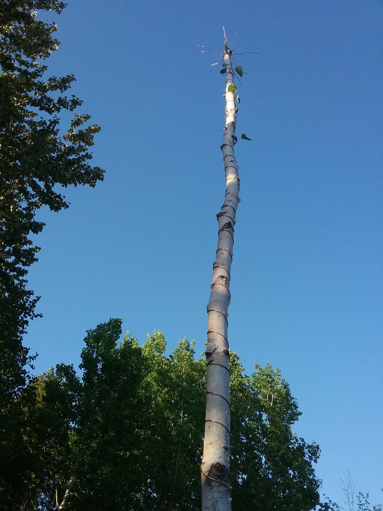 20230531_193518.jpg