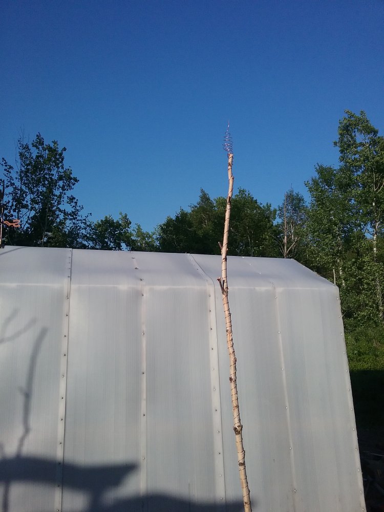 20230531_193724.jpg