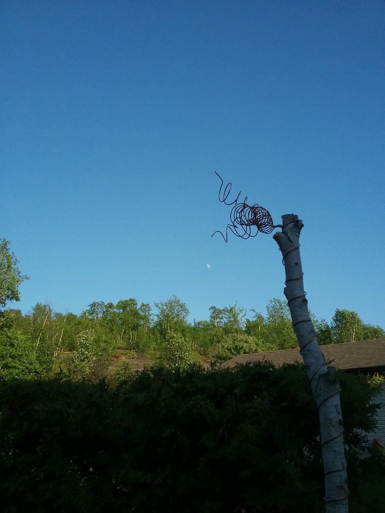 20230531_193850.jpg