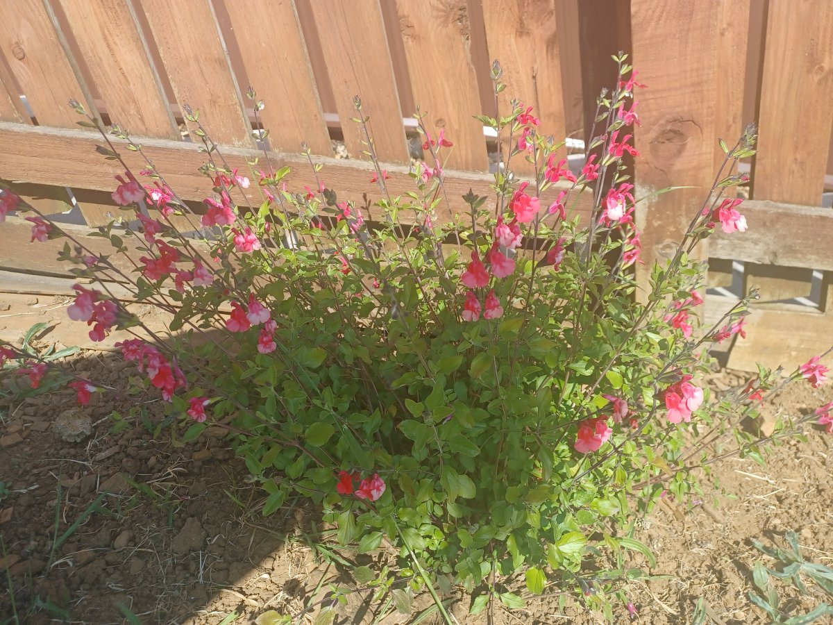 20230601_163149.jpg